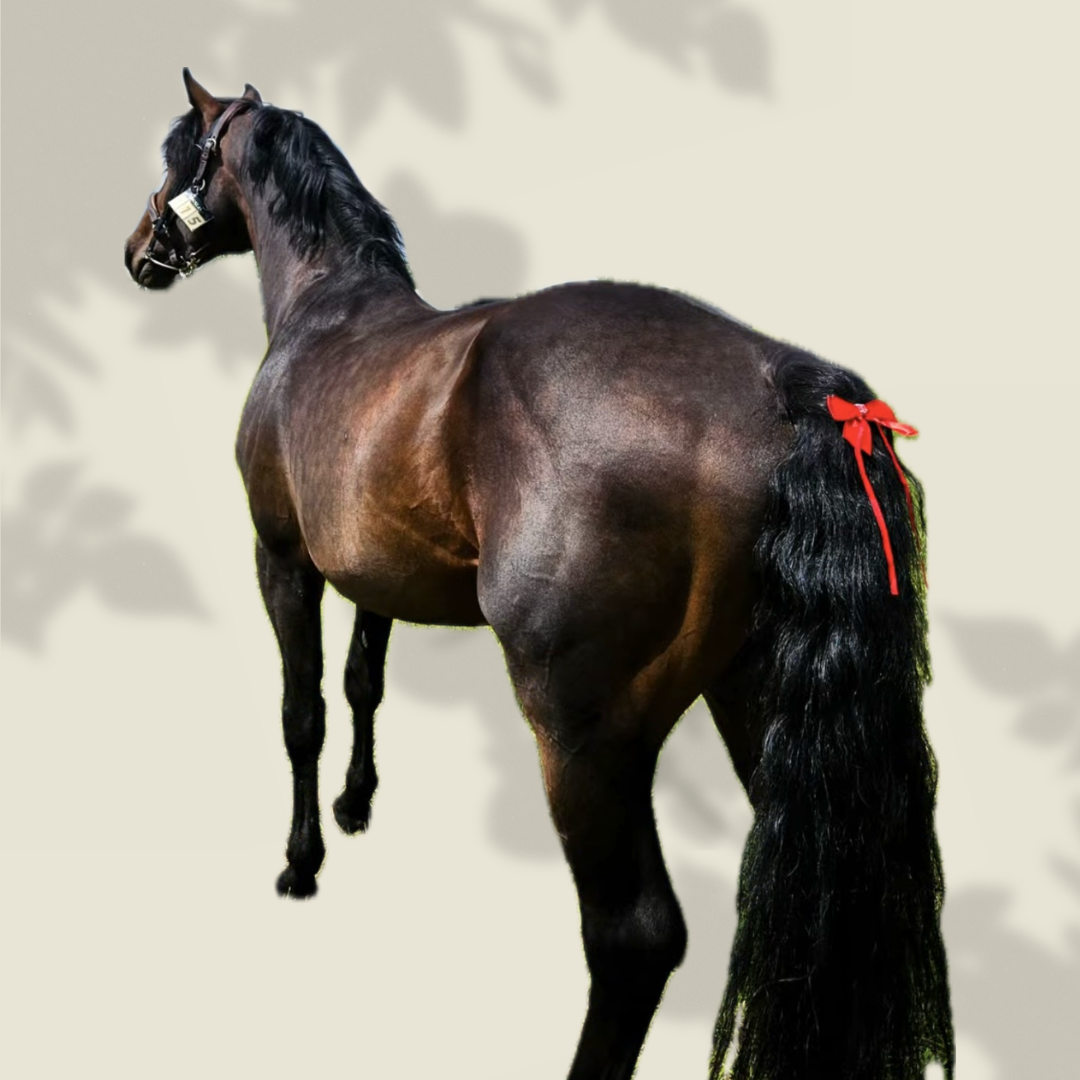 Red Ribbons